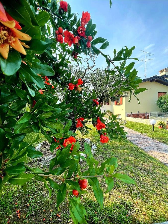Villa Ama Pordenone Exterior foto