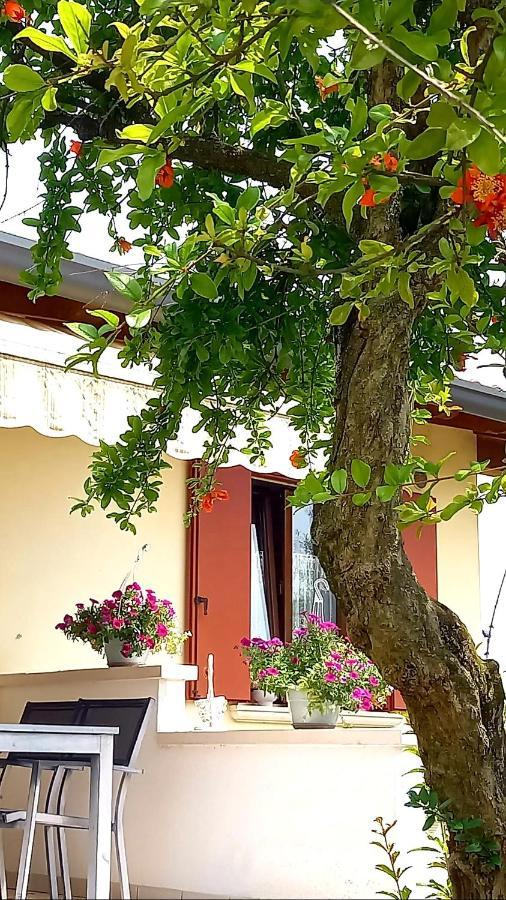 Villa Ama Pordenone Exterior foto